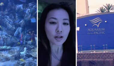 fishes inside an aquarium (l) woman shares aquarium observation (c) aquarium entrance (r)