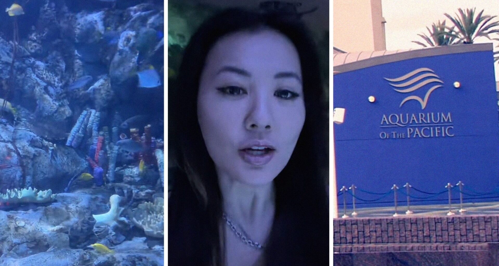 fishes inside an aquarium (l) woman shares aquarium observation (c) aquarium entrance (r)