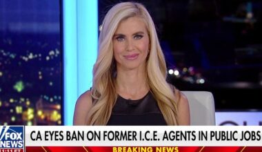 California bills target former ICE and Border Patrol agents in public jobs