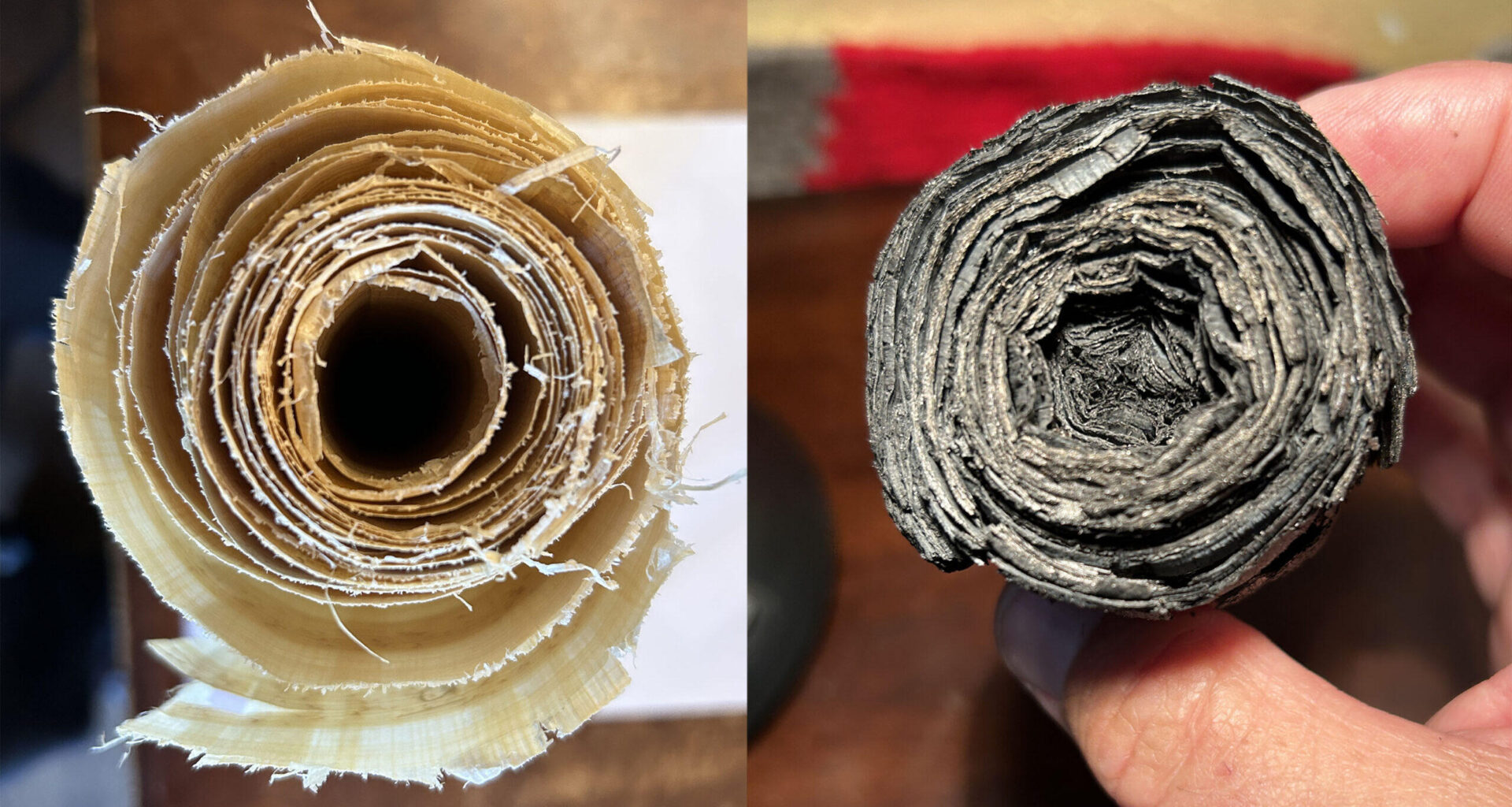 End view of papyrus scroll that is white before and black after carbonizing.