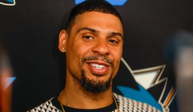 Ex-San Jose Sharks forward Ryan Reaves announces retirement