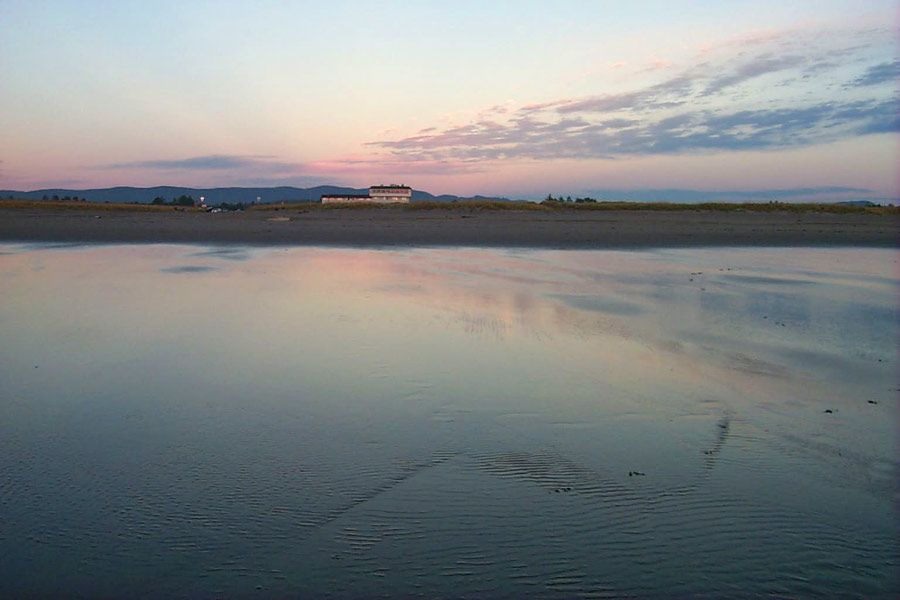 Tentative Clamming Dates Released for Washington Coast