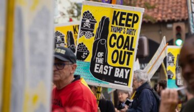 Berkeley City Council delays vote on lifting tear gas ban amid great opposition, citing technical difficulties | City Government