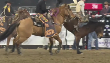 Tickets go on sale Friday for San Diego Rodeo at Petco Park