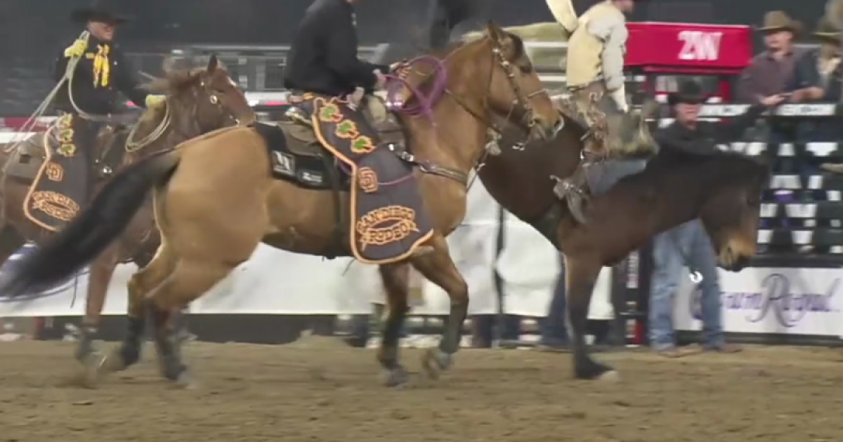 Tickets go on sale Friday for San Diego Rodeo at Petco Park