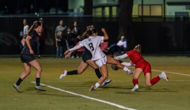 Cox Brace Leads Long Beach State Past Nevada, 3-0
