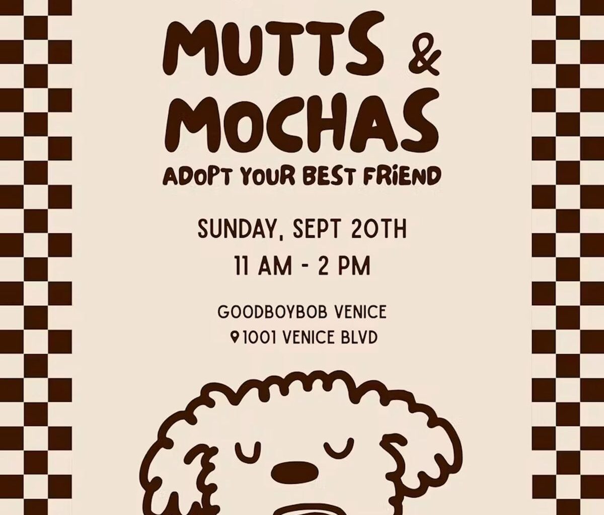 Dog Adoption Event Venice Sunday