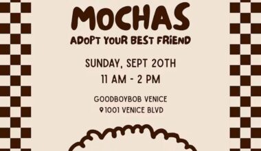 Dog Adoption Event Venice Sunday
