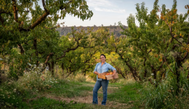 Can Technology and Innovation Keep California's Family Farms Alive?