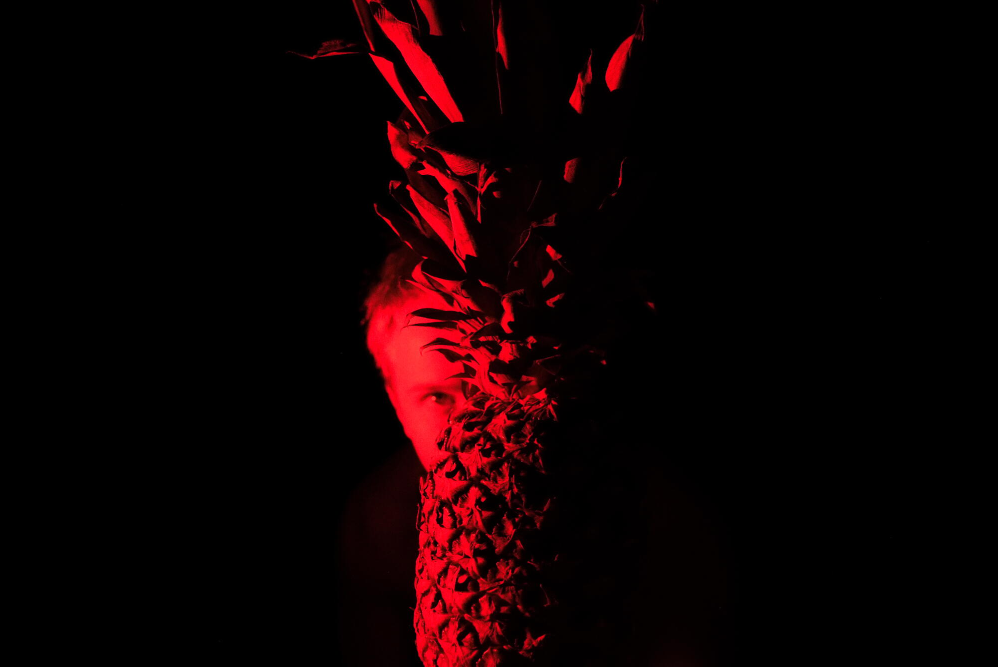 An image of a pineapple shrouded in red light. 