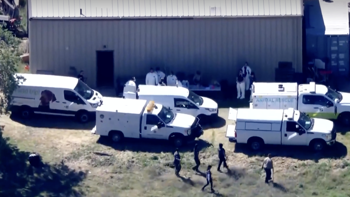 California woman accused of neglecting over 300 animals in unsanitary conditions