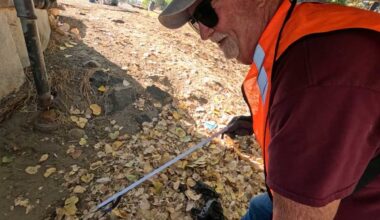 Volunteers clean up Sacramento riverbank ahead of the rainy season