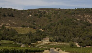Sonoma's Gundlach Bundschu Winery, one of California’s oldest, files for Chapter 11 bankruptcy