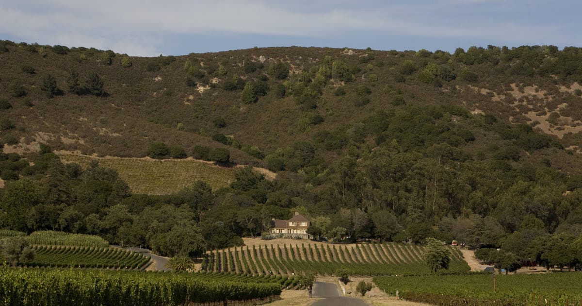 Sonoma's Gundlach Bundschu Winery, one of California’s oldest, files for Chapter 11 bankruptcy