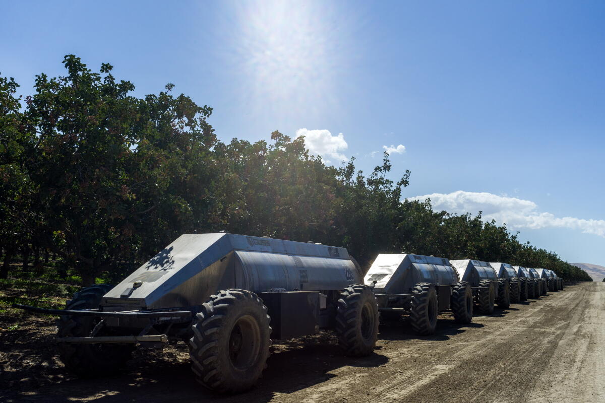 Autonomous tractors, which are used to apply pesticides, line a field