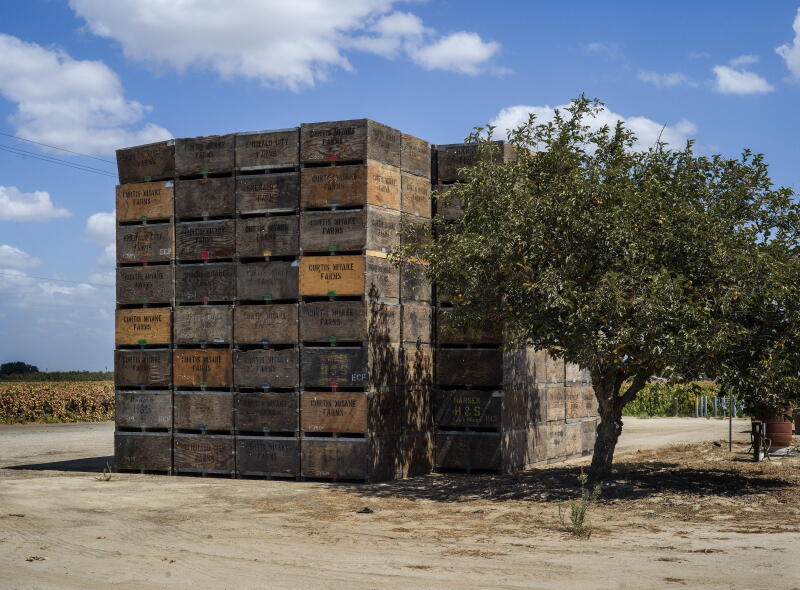 Crates stacked at a grape farm in Fresno County.