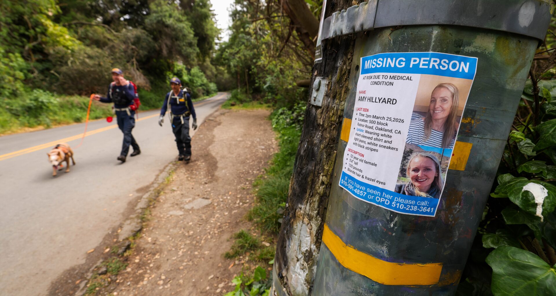 Amy Hillyard search continues, six months later