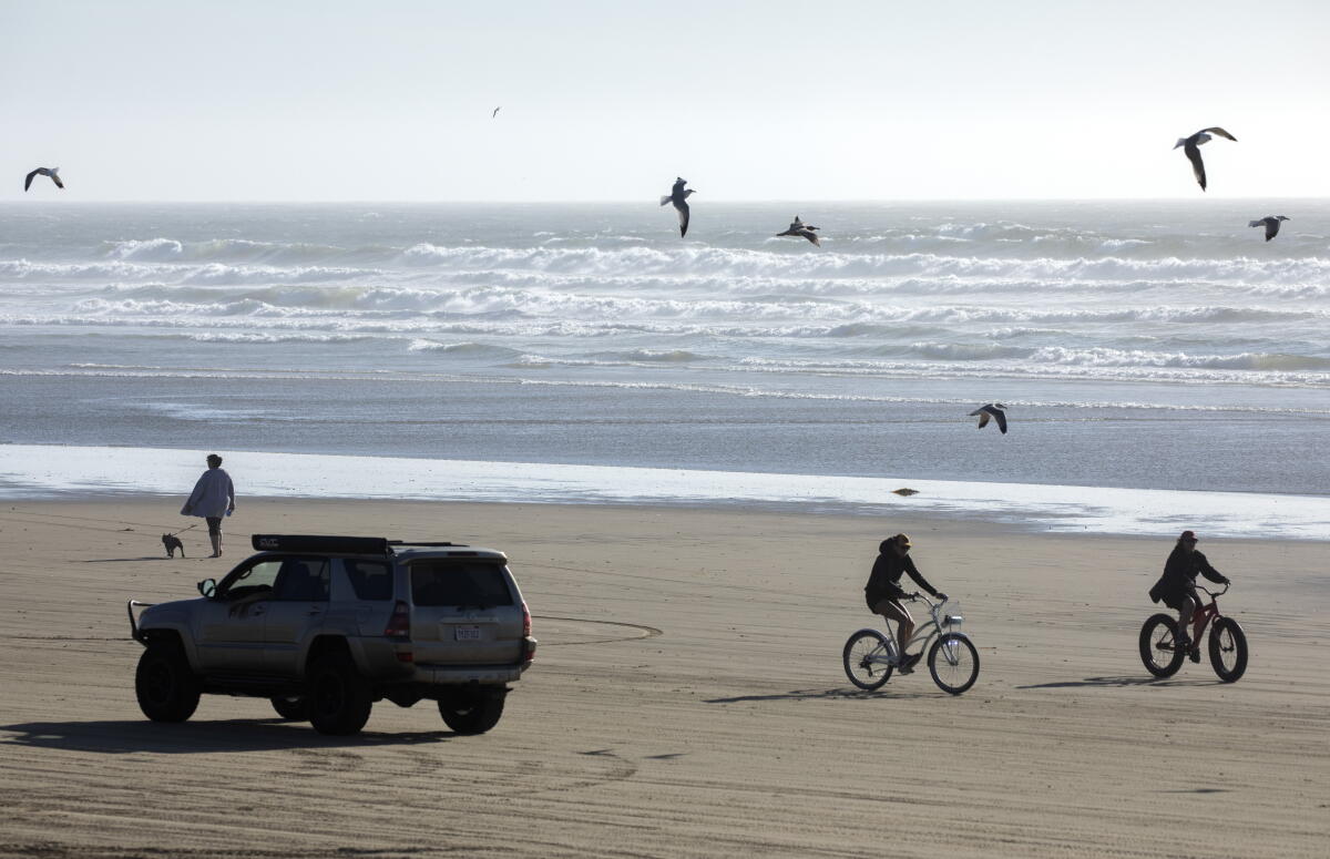 Cars, bikes and pedestrians at Oceano Dunes State Vehicular Recreation Area 