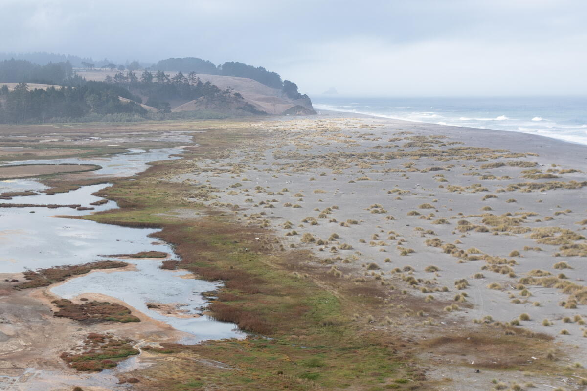 A view of Centerville Beach in Humboldt County