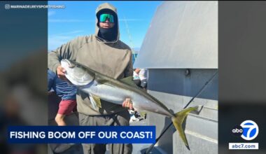 Warm ocean waters bring unusual fishing boom off Southern California coast