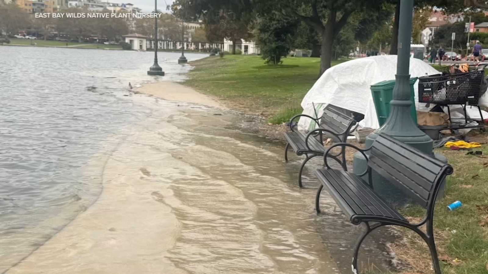 Here's why Oakland's iconic Lake Merritt flooded this week and how it's considered a tidal estuary, per expert