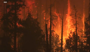 'Picture of hell': Mountain communities in Fresno, Madera County reflect on Creek Fire 6 years later