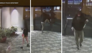 VIDEO: Man scales locked gate after chasing UC Berkeley student home