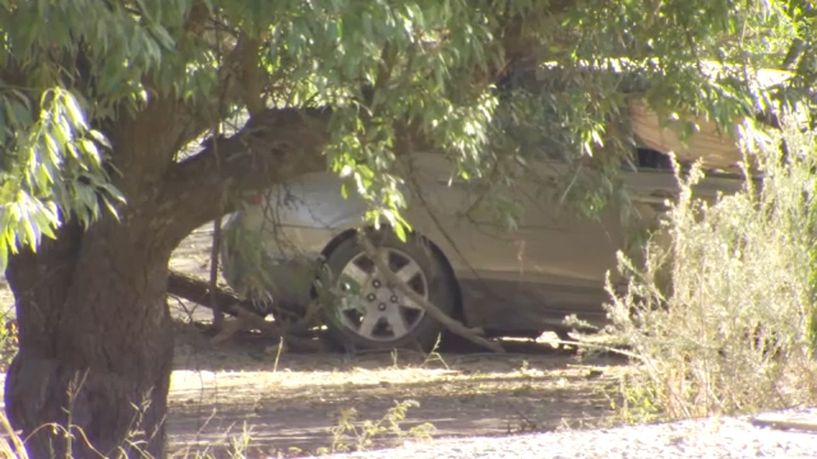2-vehicle collision kills 2 people in Fresno County, CHP says