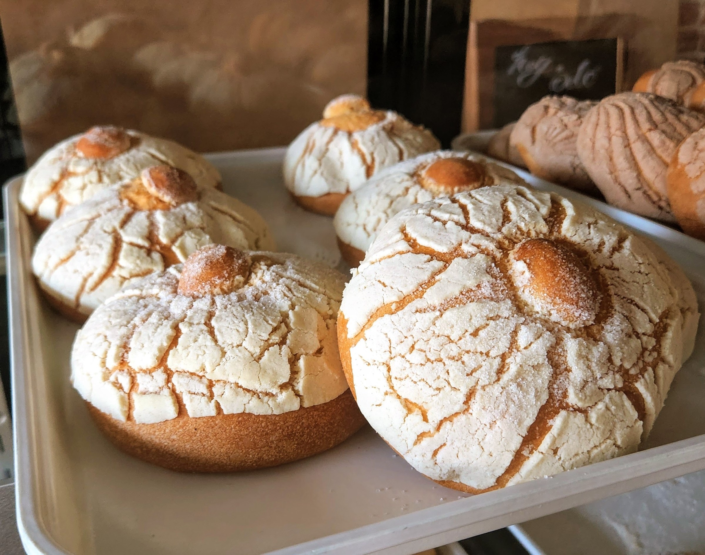 Conchas from Delicias Bakery