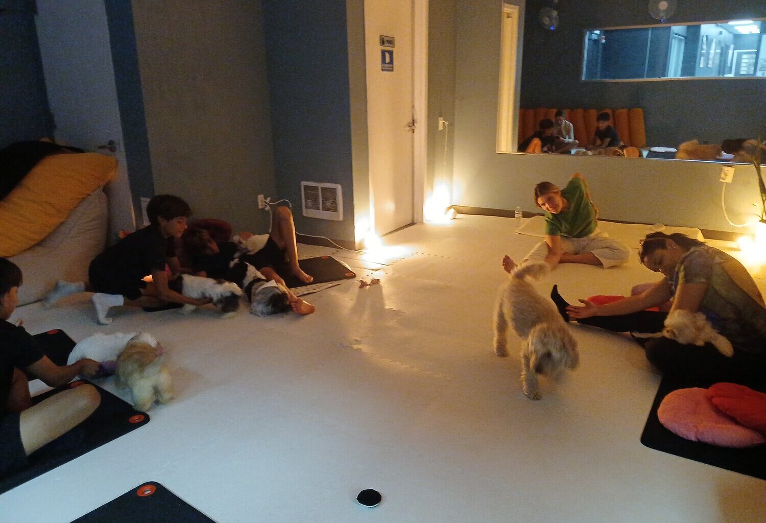 Six participants enjoyed the yoga class at The Solstice Method while eight small dogs roamed freely around the mats.