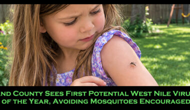 Oakland County Sees First Potential West Nile Virus Case of the Year, Avoiding Mosquitoes Encouraged