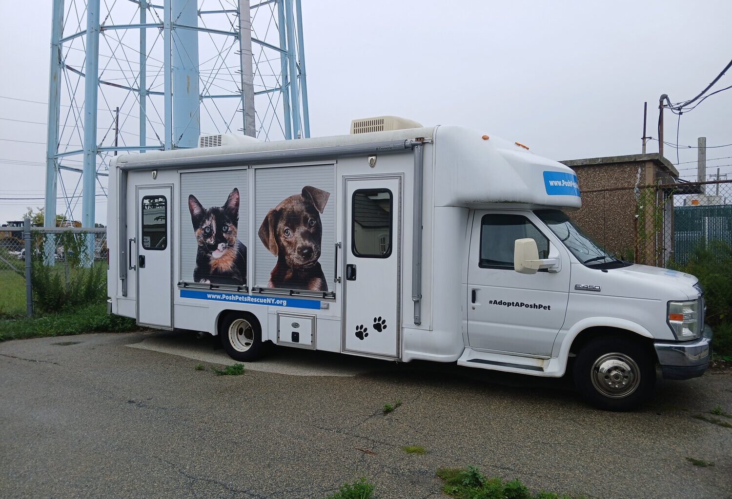 Posh Pets&rsquo; adoption van is loaded with cats and dogs for mobile pet adoption events across Long Island every month.