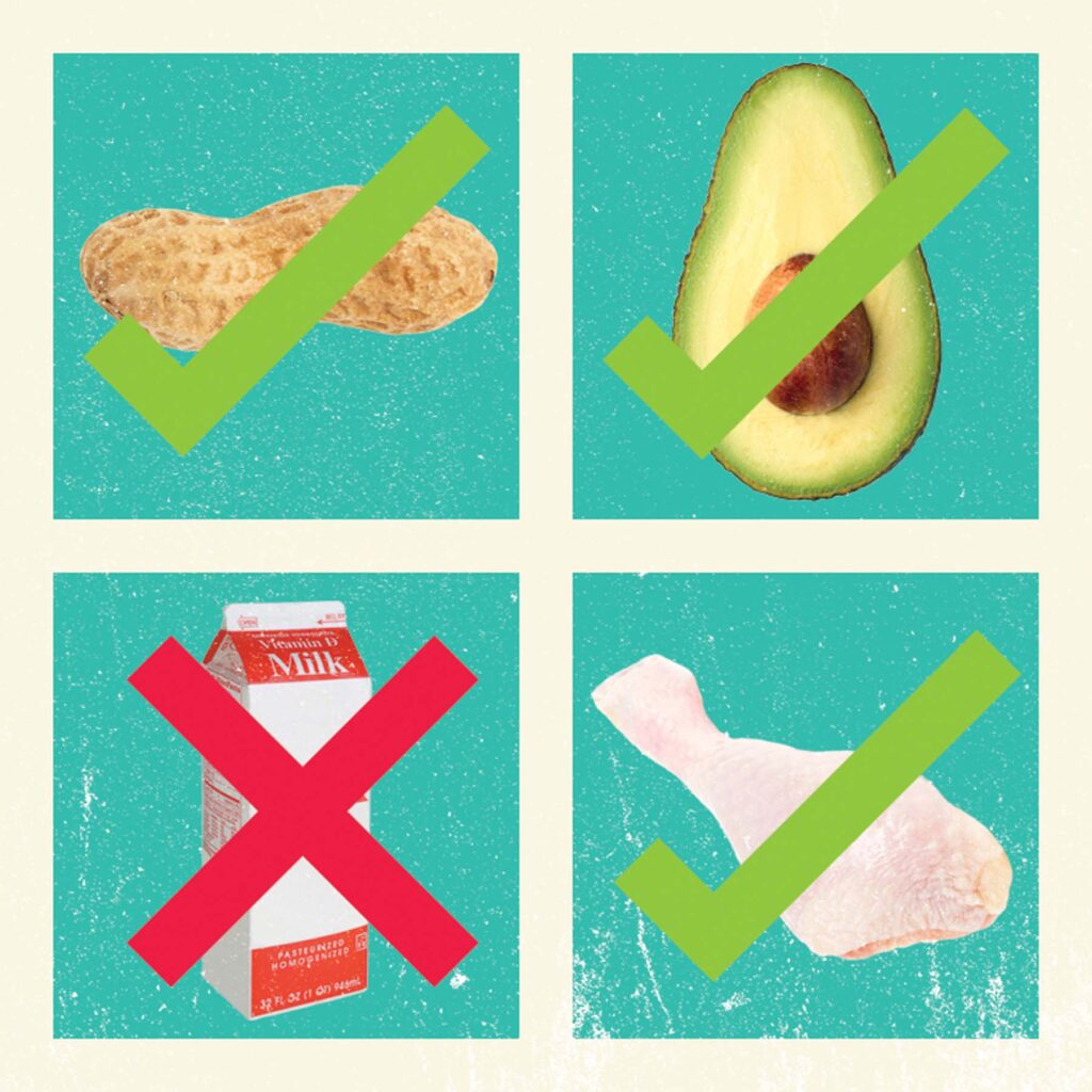 An illustration of a variety of food allergens
