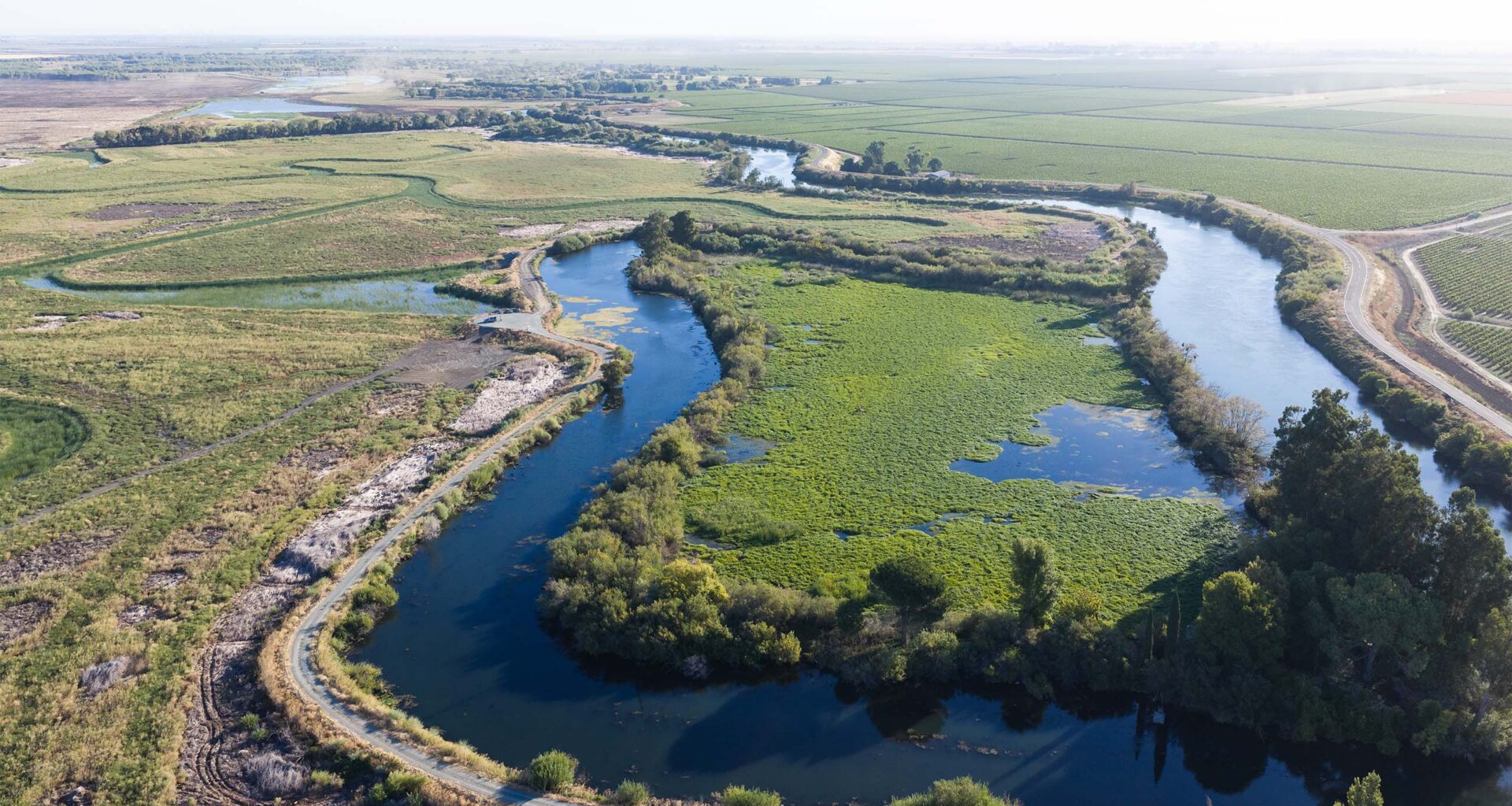 An aerial shot of water channels meandering through green fields.