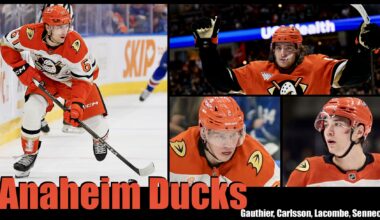 Dobber’s Offseason Fantasy Grades – Anaheim Ducks – DobberHockey