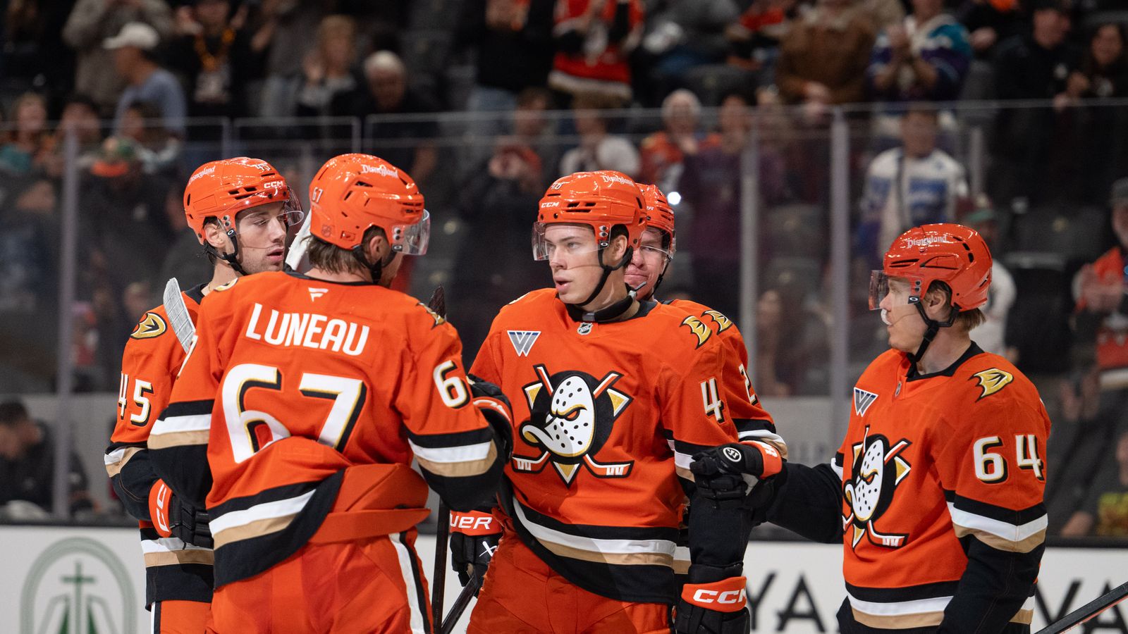 TST Images: Ducks defeat Sharks, 6-2, at Honda Center