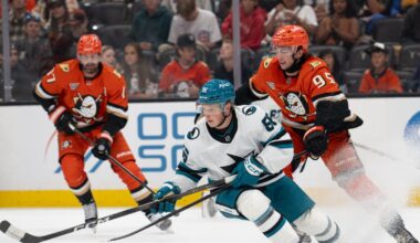 Ducks' stars roll Sharks, rookies seize chances in preseason opener