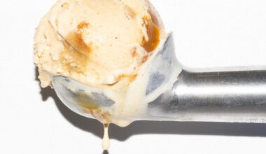 Jeni’s Ice Creams launches fall flavors at LA shops