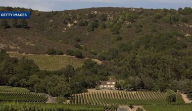 California wineries struggle amid trade war and shifting consumer trends
