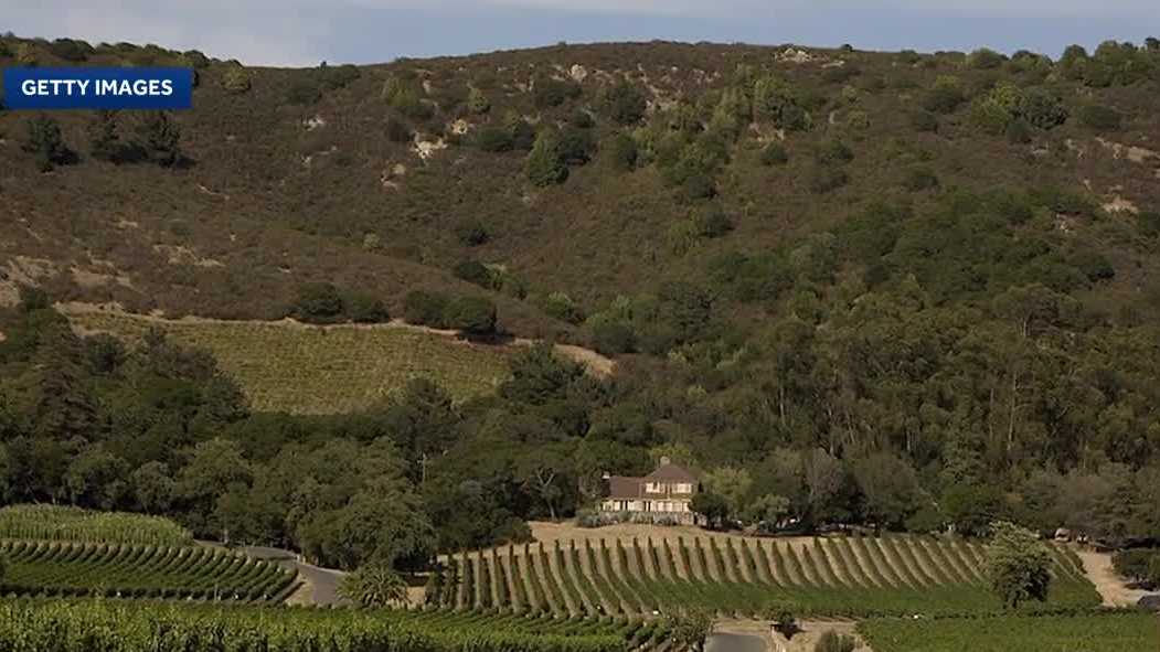 California wineries struggle amid trade war and shifting consumer trends