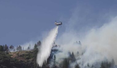 Sacramento-area firefighters deployed to Floriston Fire