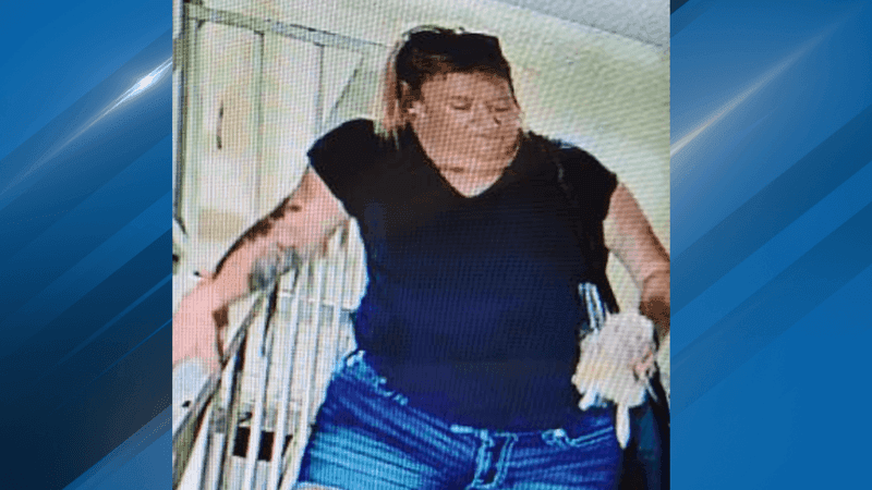 The Bakersfield Police Department is asking for the community’s help in identifying a woman accused of stealing items from a car on Real Road. PHOTO: BPD