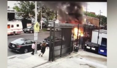Stranger jumps in to save dog from burning van on Skid Row