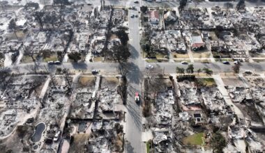 Review looks at LA County wildfires recovery and repopulation efforts – NBC Los Angeles