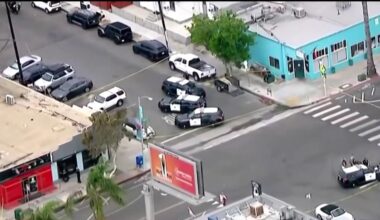 Vandalism spree in North Park ends with San Diego police fatally shooting man – NBC 7 San Diego