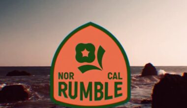 NorCal Rumble unveiled as new name for Bay Area women’s volleyball team – NBC Bay Area