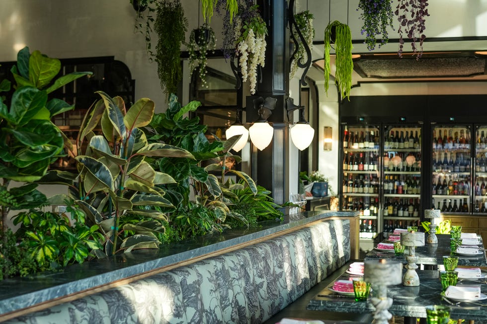 Elegant restaurant interior featuring lush plants, stylish lighting, and a display of beverages in the background.