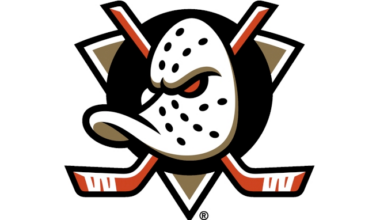 Anaheim Ducks Affiliate Map: AHL And ECHL Teams Explained