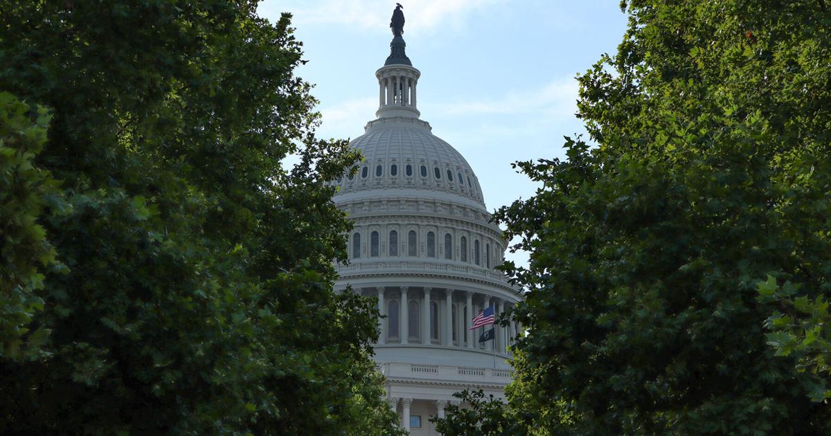 International students interning abroad lose course credit due to ICE warning | Administration