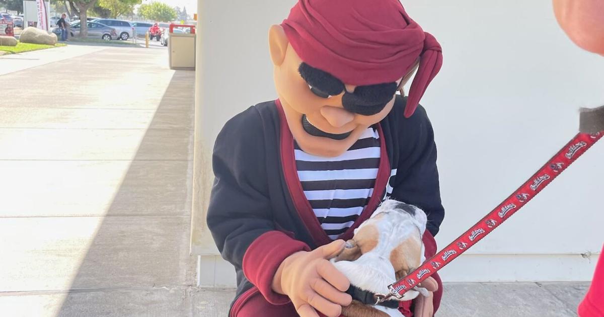 V And The Pirate: PC launches Bulldog Bound Transfer Program | Photos